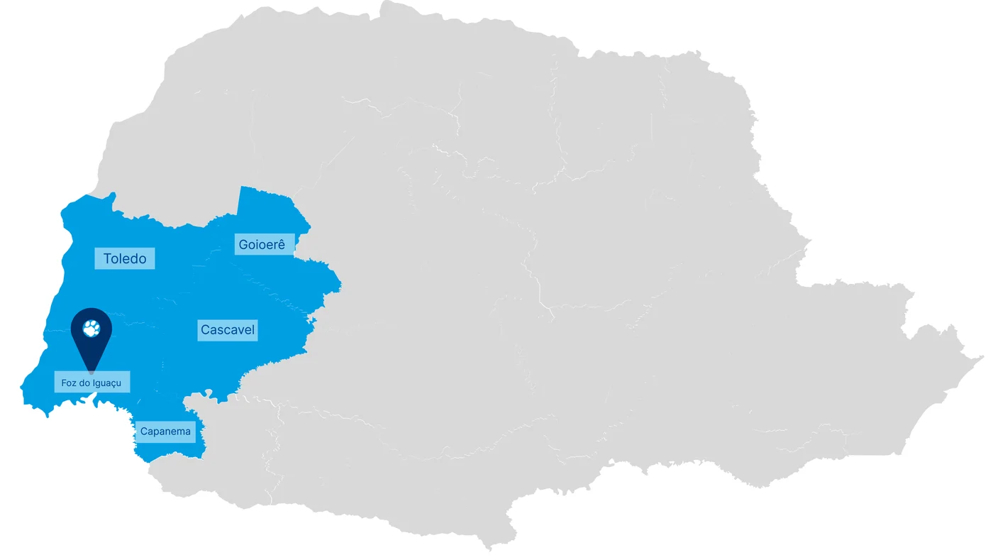 Mapa do Paraná com a área de atuação exclusiva do DCC destacada no Oeste: microrregiões de Toledo, Goioerê, Cascavel, Foz do Iguaçu e Capanema